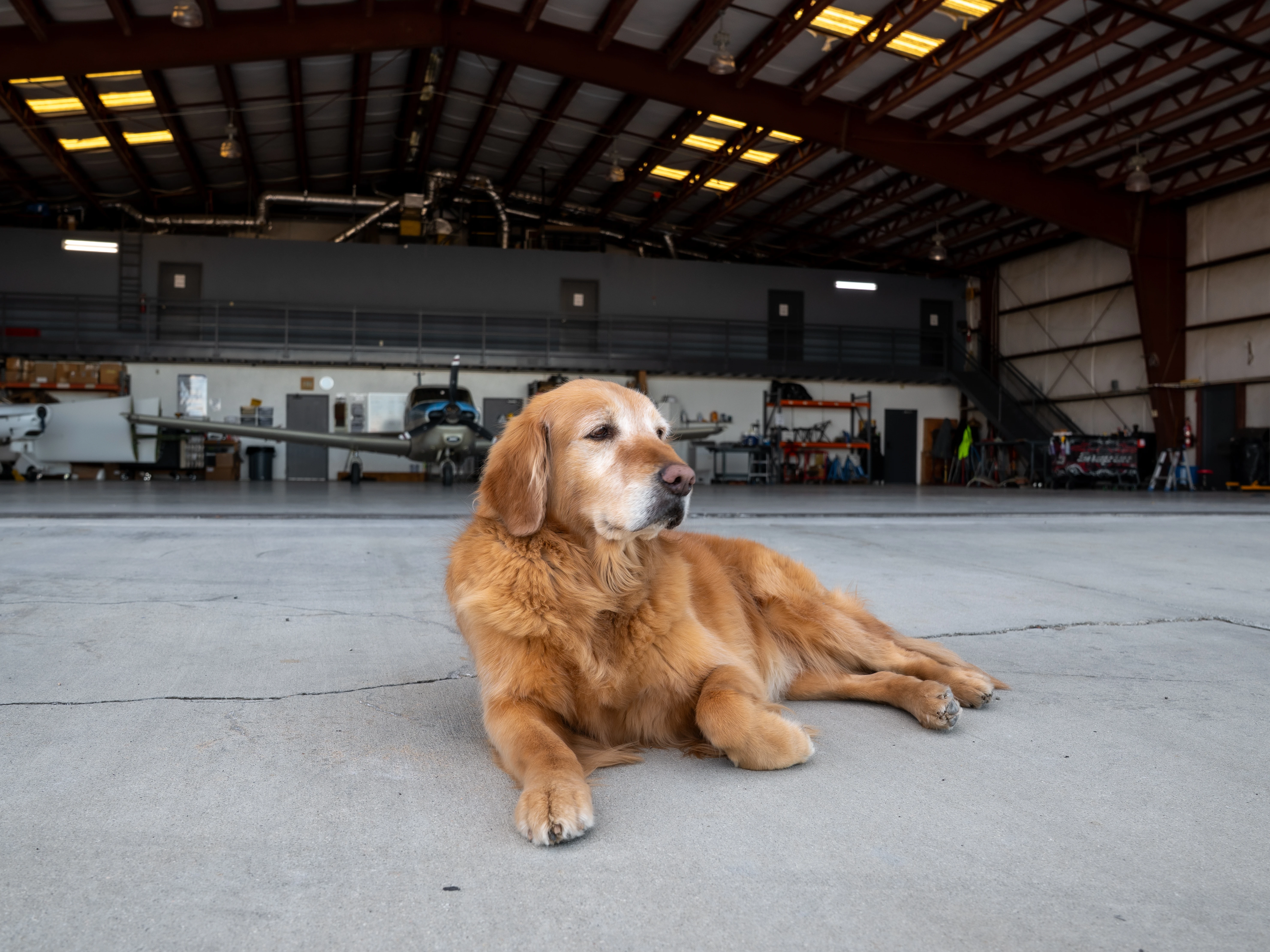 <span class='flex items-center'><svg xmlns="http://www.w3.org/2000/svg" class='h-6 w-6' viewBox="0 0 24 24" style="display: inline-block; vertical-align: middle; margin-right: 0.5rem;"><path fill="currentColor" d="m21.17 15.4l-5.91-9.85c-.78-1.3-1.96-2.04-3.26-2.04s-2.48.74-3.26 2.03L2.83 15.4c-.44.73-.66 1.49-.66 2.21c0 .57.14 1.13.42 1.62C3.23 20.35 4.47 21 6 21h12c1.53 0 2.77-.65 3.41-1.77c.28-.49.42-1.02.42-1.58c.01-.74-.21-1.51-.66-2.25M12 8.45c.85 0 1.55.7 1.55 1.55s-.69 1.55-1.55 1.55c-.85 0-1.55-.7-1.55-1.55c0-.86.69-1.55 1.55-1.55m1.69 8.46c-.03.04-.8.92-2.07.92h-.15c-.51-.03-.93-.25-1.18-.63c-.31-.47-.36-1.11-.12-1.82l.41-1.22c.23-.68.01-.79-.11-.85l-.14-.02c-.25 0-.6.15-.71.21c-.1.05-.23.03-.31-.07c-.07-.1-.07-.23.01-.32c.03-.04.87-.99 2.22-.91c.51.03.93.25 1.18.63c.32.47.36 1.11.12 1.83l-.41 1.22c-.23.68-.01.79.11.85l.14.02c.25 0 .6-.15.71-.2c.11-.06.23-.03.31.07c.07.07.07.2-.01.29"/></svg>Disclaimer:</span>